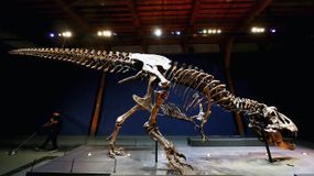 T. rex