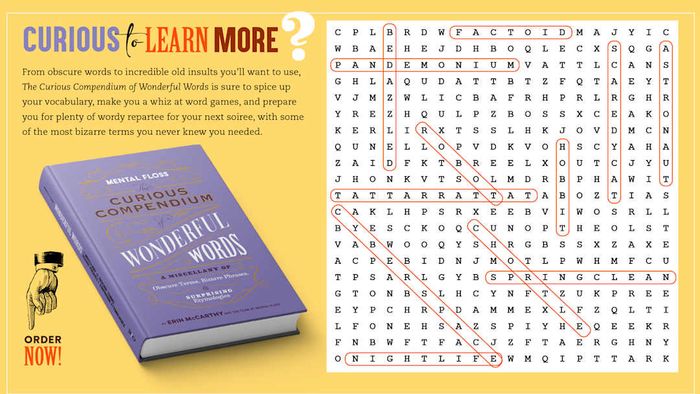 Answer key for the word search