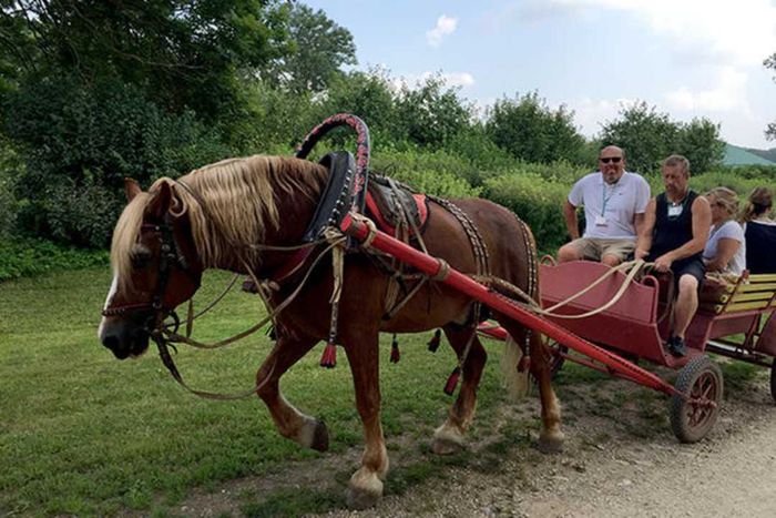 Oskar Lundeberg, a great-great grandson of Leo from Sweden, enjoys a carriage ride.