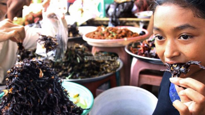 Giấc mơ thấy đang ăn nhện