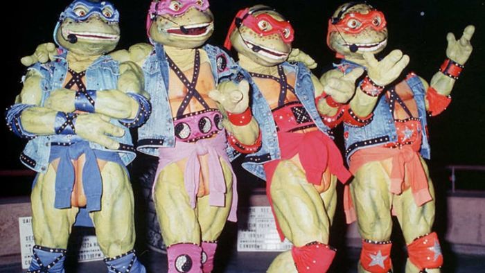 The Turtles became cultural icons, even taking their act to the live stage.