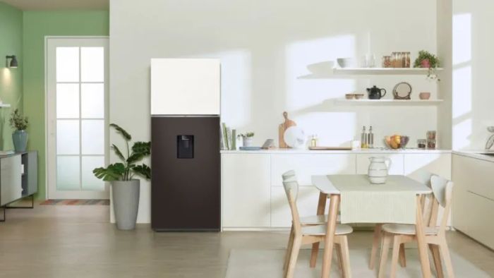tu-lanh-samsung-inverter