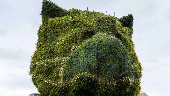 Jeff Koons's iconic Puppy sculpture has been updated with a floral face mask.