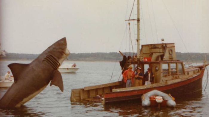 Image courtesy of Jaws: Memories from Martha's Vineyard // Photograph by Lynn and Susan Murphy