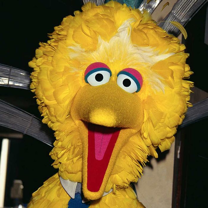 Big Bird from 'Sesame Street' is pictured