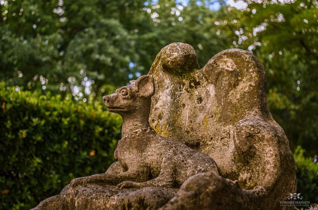 7-cemetery-de-chiens