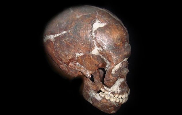 5a-qafzeh-cave-skull