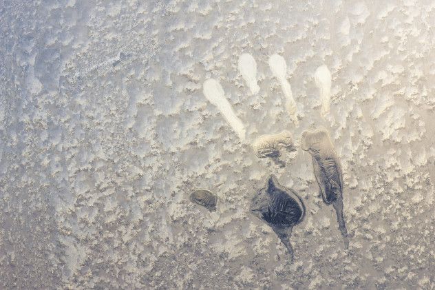 8 Handprint