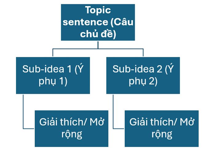 Cấu trúc đoạn văn thường gặp trong IELTS Writing Task 2