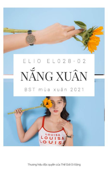 Tổng quan về đồng hồ nữ Elio EL028-02