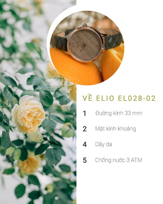 Tổng quan về đồng hồ nữ Elio EL028-02