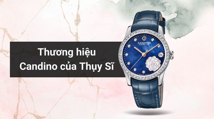 Tổng quan về thương hiệu của mẫu đồng hồ