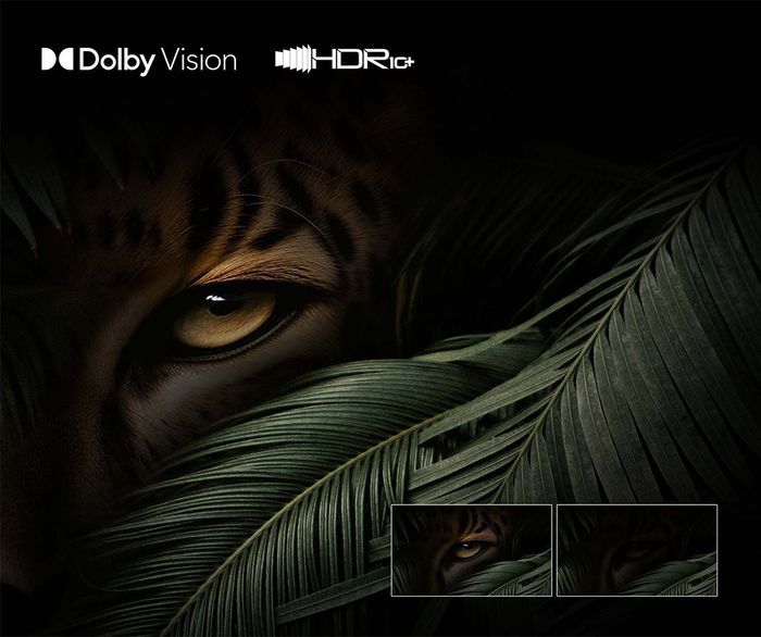 Dolby Vision và HDR10+ nâng tầm trải nghiệm hình ảnh