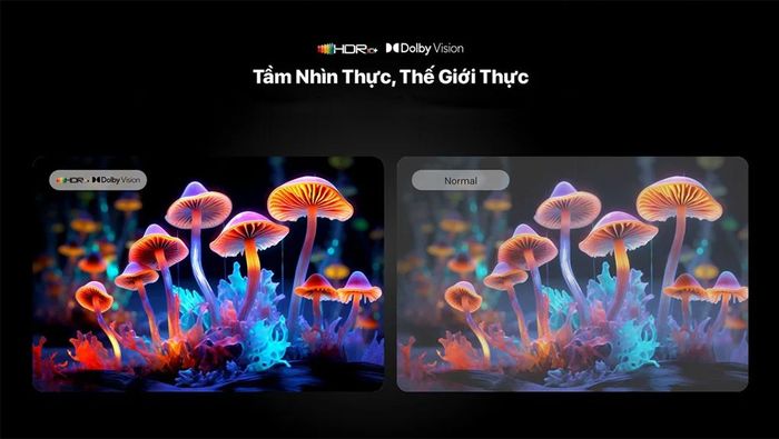 HDR10+ và Dolby Vision hiển thị hình ảnh sắc nét, chân thực