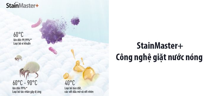 Giặt nước nóng StainMaster+ loại bỏ tác nhân gây dị ứng