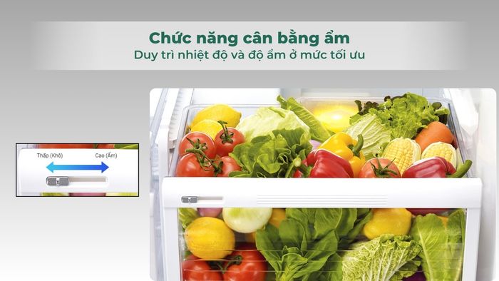 Chức năng cân bằng ẩm giúp rau củ quả luôn mọng nước, tươi ngon