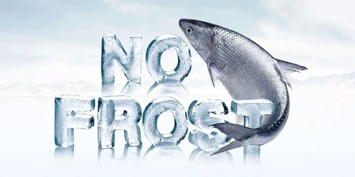 Tủ Lạnh AQR-IG636FM được tích hợp công nghệ No Frost không đóng tuyết