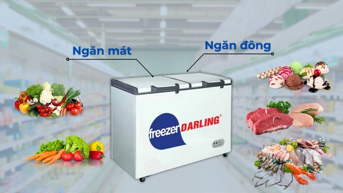Dung tích tủ đủ để có thể bảo quản tốt nhiều loại thực phẩm