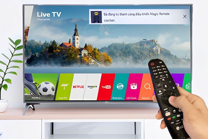 Khả năng tương thích với nhiều dòng tivi LG
