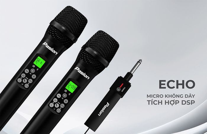 Micro Không Dây Tích Hợp DSP PASION ECHO