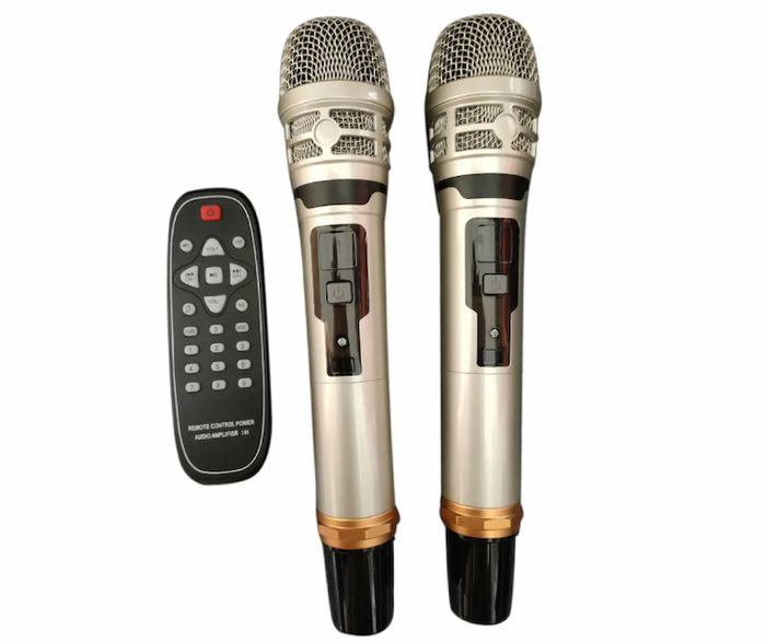 Remote và micro chuyên nghiệp đi kèm