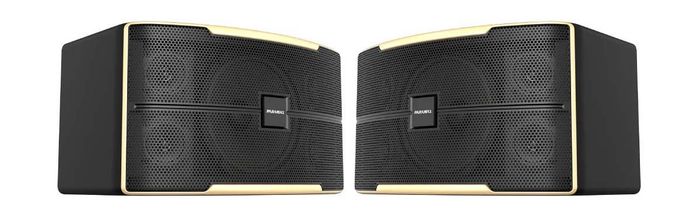 Loa Karaoke 12 Inches Paramax Z-2500