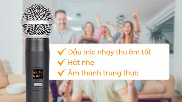 Âm thanh trung thực mạnh mẽ với bộ micro không dây U20