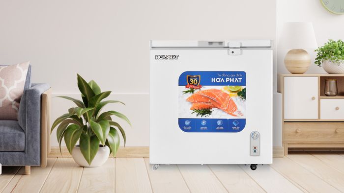 Tủ Đông Hòa Phát 162 Lít HPF AN6162 sở hữu kiểu dáng thon gọn