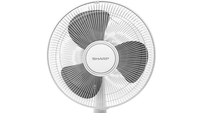 Sharp PJ-T40MV-LG trang bị 3 cánh quạt với đường kính 40cm