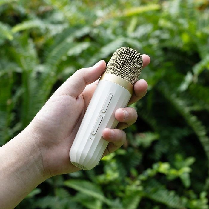 Loa iCore ISM02 đi kèm micro nhỏ gọn