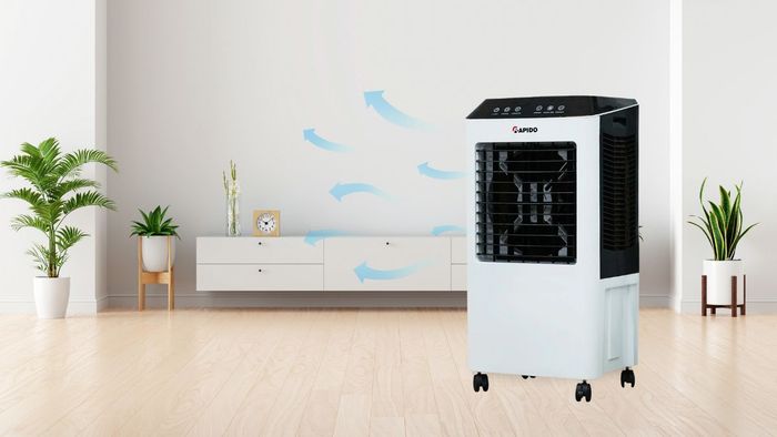 Rapido Everest 3000-D hoạt động an toàn và hiệu quả