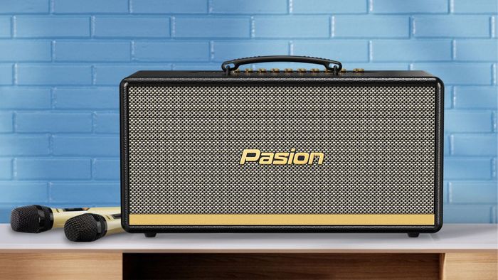 Loa Di Động Xách Tay Paramax PASION 2