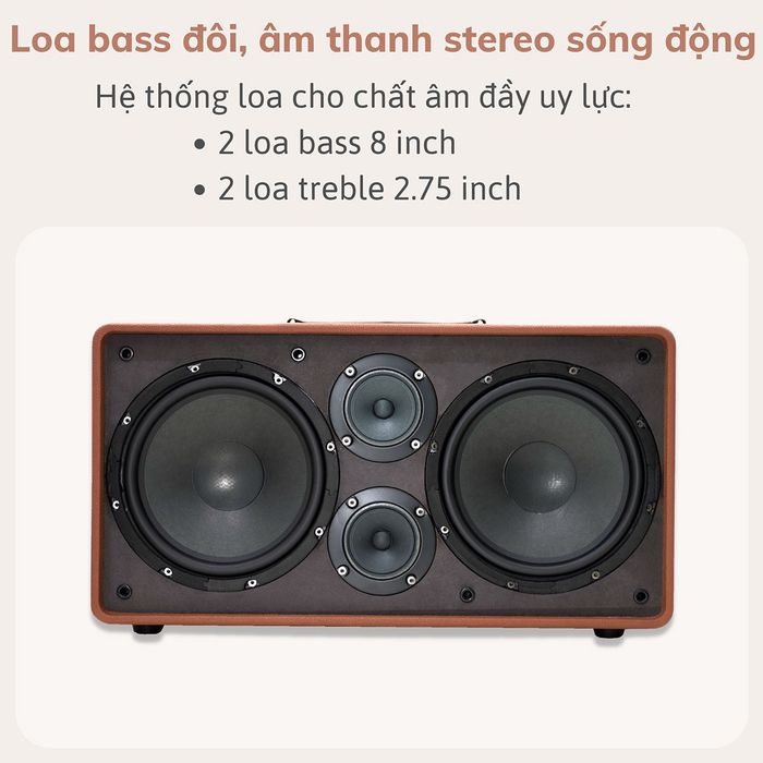 Hệ thống củ loa ấn tượng