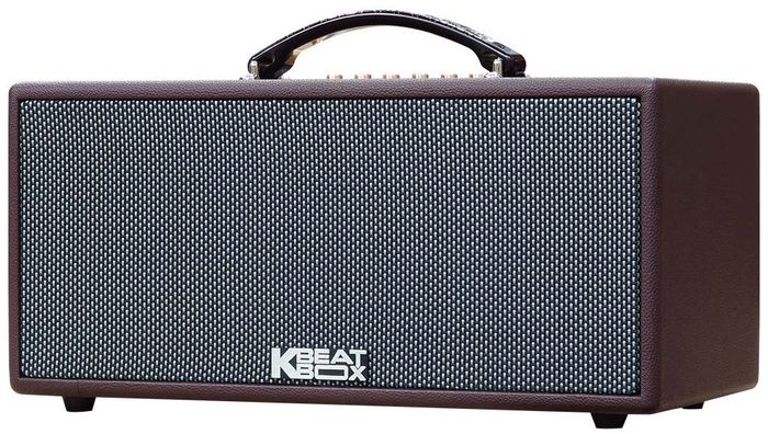 Thiết kế tổng thể của loa karaoke Acnos KS363H