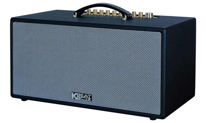 Loa Acnos CS445D có thiết kế hoàn thiện, bền bỉ và hiện đại