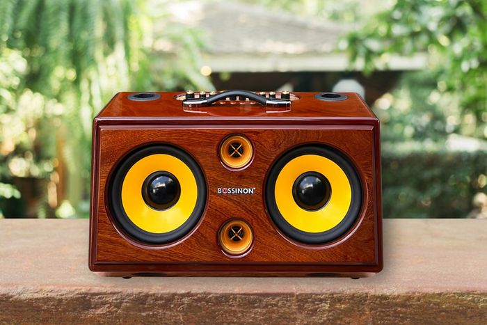 Thiết kế đẹp mắt, tiện lợi của loa Bossinon N3383K