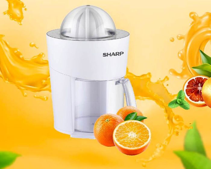 Thiết kế đơn giản