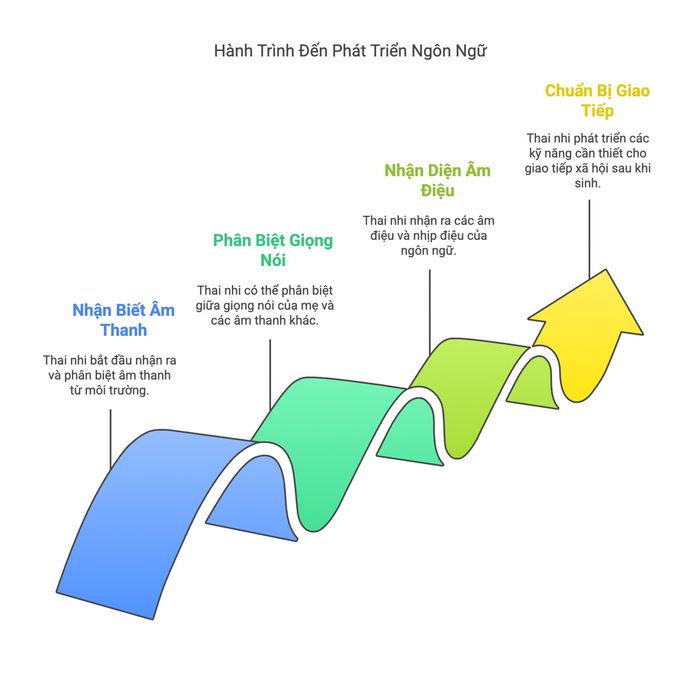 Con đường phát triển ngôn ngữ