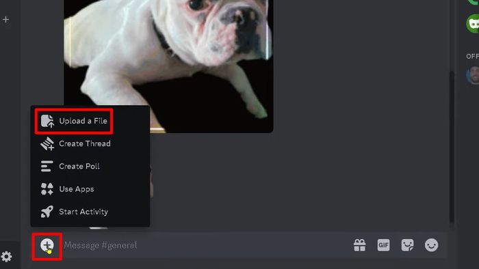 Cách tải GIF lên Discord - bước 2