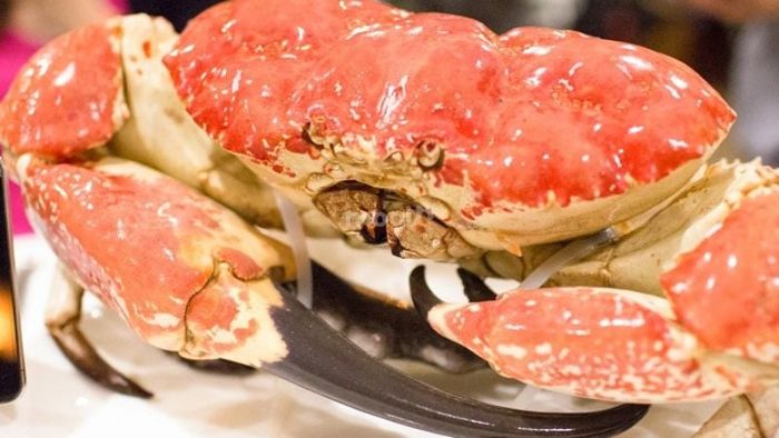 Mơ thấy cua khổng lồ