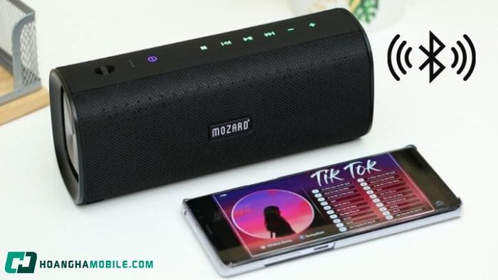 sua-loa-bluetooth-7
