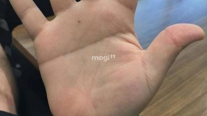 Phân tích về đường chỉ tay một đường thẳng ở nữ