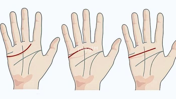 Đường tâm đạo nằm phía trên đường trí đạo