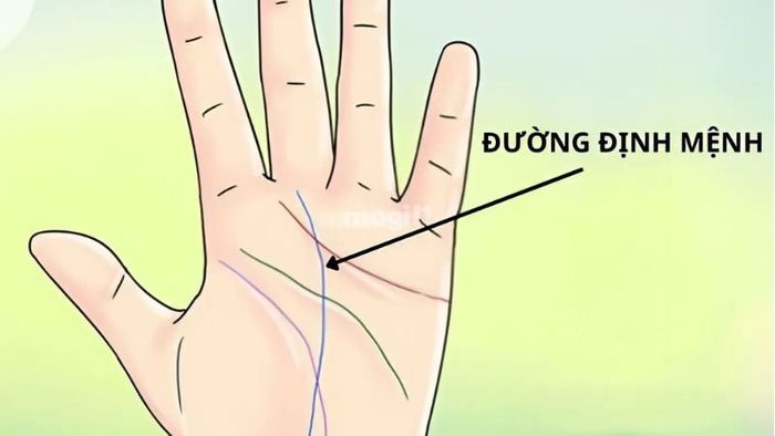 Đường định mệnh - đường chỉ tay đặc biệt