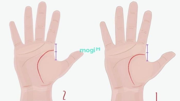 Cách nhận biết đường sinh đạo