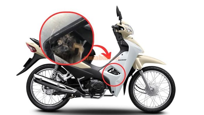 Xác định vị trí của ốc xăng và ốc gió