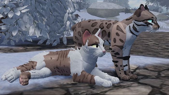 Những lưu ý khi nhập mã code Warrior Cats Ultimate Edition