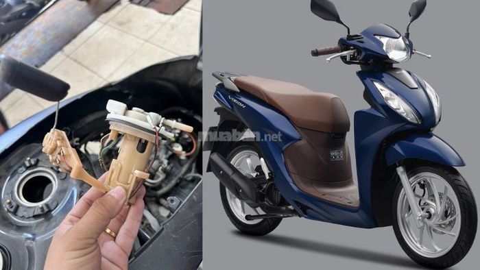 Cập nhật giá bơm xăng Vision thay thế hiện tại
