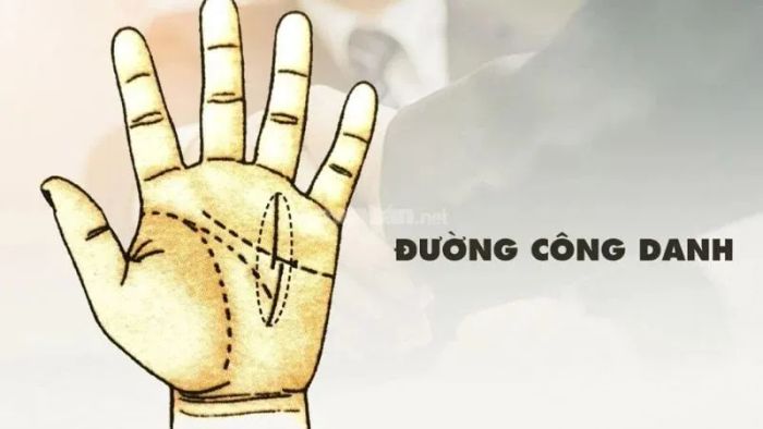 Đường chỉ tay công danh bị rẽ nhánh
