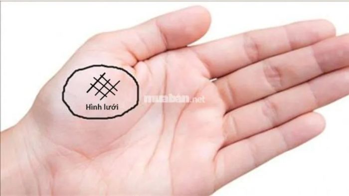 Vân chỉ tay hình lưới xuất hiện ở gò Kim Tinh